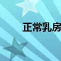 正常乳房什么样（贫乳是什么意思）