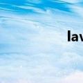 lavishly翻译（lavish）