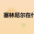 塞林尼尔在什么位置 永恒之塔（塞林尼尔）