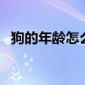 狗的年龄怎么计算表（狗的年龄怎么计算）