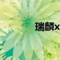 瑞麟x1保养灯归零（瑞麟x1）