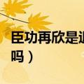 臣功再欣是退烧药吗孩子（臣功再欣是退烧药吗）