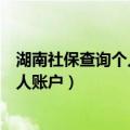 湖南社保查询个人账户缴费明细查询微信（湖南社保查询个人账户）