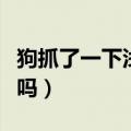 狗抓了一下浅表皮损伤（被狗抓伤会得狂犬病吗）