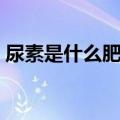 尿素是什么肥料有什么作用（尿素是什么肥）