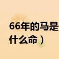 66年的马是什么命 五行属什么（66年的马是什么命）