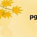 pg篮球位置（pg篮球）