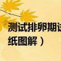 测试排卵期试纸叫什么名字（测试排卵期的试纸图解）