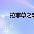 拉菲草之恋贝璐璐婚礼（拉菲草之恋）