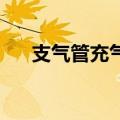 支气管充气征CT表现（支气管充气征）