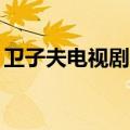 卫子夫电视剧全40集（卫子夫剧情分集介绍）