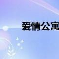爱情公寓主演关系（爱情公寓主演）