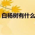白杨树有什么特点简写（白杨树的三个特点）