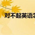 对不起英语怎么说读（对不起英语怎么说）