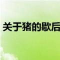 关于猪的歇后语和歇后语（关于猪的歇后语）