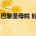 巴黎圣母院 好句摘抄（巴黎圣母院摘抄赏析）