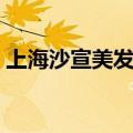 上海沙宣美发学院官网（上海沙宣美发学院）