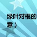 绿叶对根的情意原唱 毛阿敏（绿叶对根的情意）