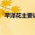 芊泽花主要讲了什么（芊泽花讲的是什么）