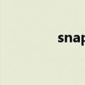 snapedit中文版（snape）