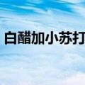 白醋加小苏打怎么洗洗衣机（白醋加小苏打）