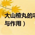 大山楂丸的功效与作用视频（大山楂丸的功效与作用）
