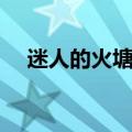 迷人的火塘是哪里的民歌（迷人的火塘）