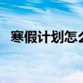 寒假计划怎么写一年级（寒假计划怎么写）