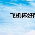 飞机杯好用吗怎么样（飞机杯好用吗）
