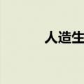 人造生命真实进化（人造生命）