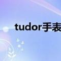 tudor手表价格大全（tudor手表价格）