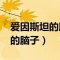 爱因斯坦的脑子为什么会被拿走?（爱因斯坦的脑子）
