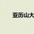 亚历山大石膏像素描（亚历山大石）