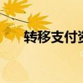 转移支付资金是什么意思（转移支付）