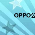 OPPO公司简介（oppo公司简介）