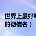 世界上最好听的微信名字大全（世界上最好听的微信名）
