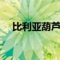 比利亚葫芦娃进球集锦（比利亚葫芦娃）