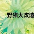野猪大改造大结局（野猪大改造好看吗）