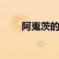 阿嵬茨的意志壁纸（阿嵬茨的意志）
