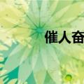 催人奋进的上一句（催人奋进）