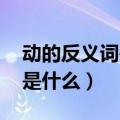 动的反义词是什么呢 标准答案（动的反义词是什么）
