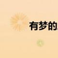 有梦的人 简谱（有梦的人歌词）
