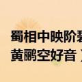 蜀相中映阶碧草自春色隔叶黄鹂空好音（隔叶黄鹂空好音）