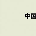 中国国电集团（中国国门）