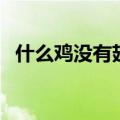 什么鸡没有翅膀打一字（什么鸡没有翅膀）
