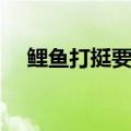 鲤鱼打挺要练多久才能练好（鲤鱼打挺）