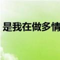 是我在做多情种简谱歌谱（是我在做多情种）