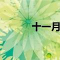 十一月英语单词（十一月英语）
