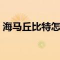 海马丘比特怎么样二手（海马丘比特怎么样）