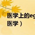 医学上的egfr是什么意思（egfr是什么意思医学）